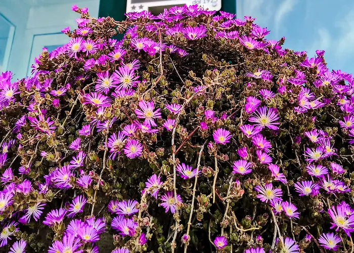 La Scaletta Lido di Ostia